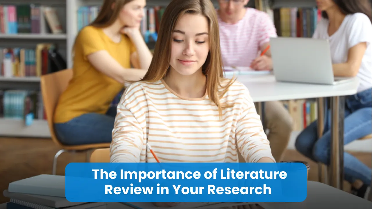 importance of literature review summary